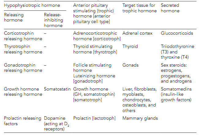 427_Hypothalamic–anterior pituitary axes.png